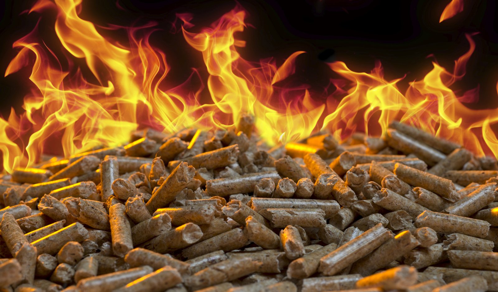 LEGNAMI ZAPPA — Calore naturale, qualità autentica